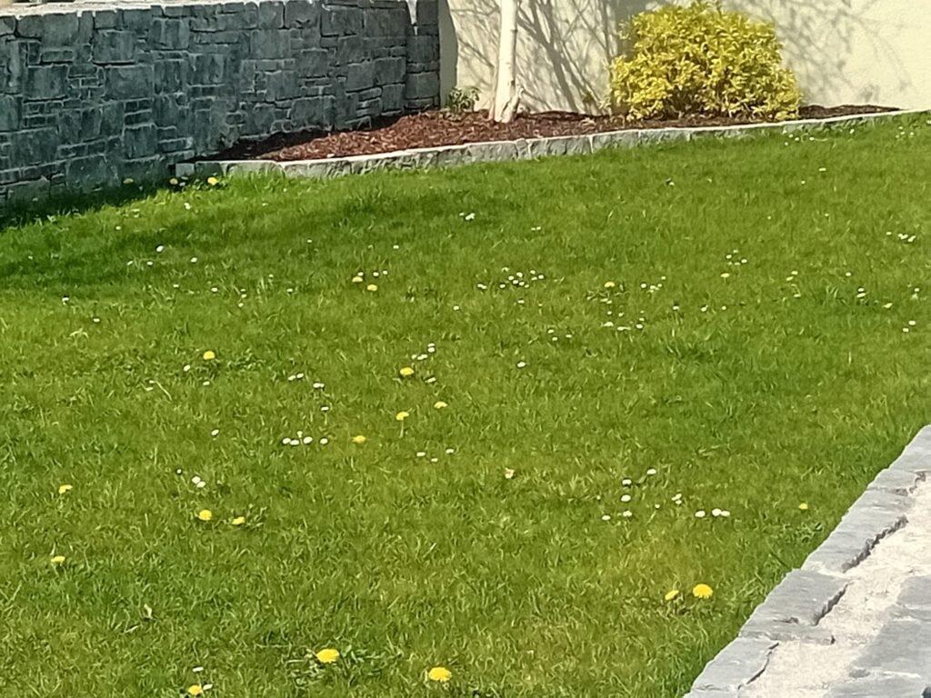 Artificial grass installation in Mayo backyard