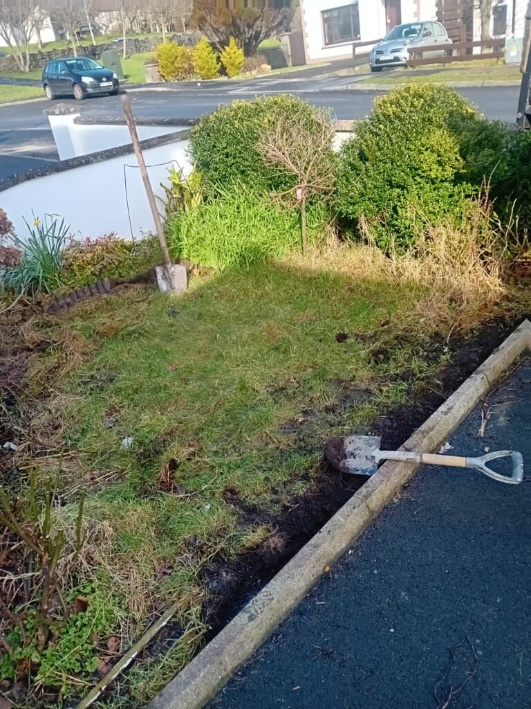 Professional hedge trimming and shaping in Mayo