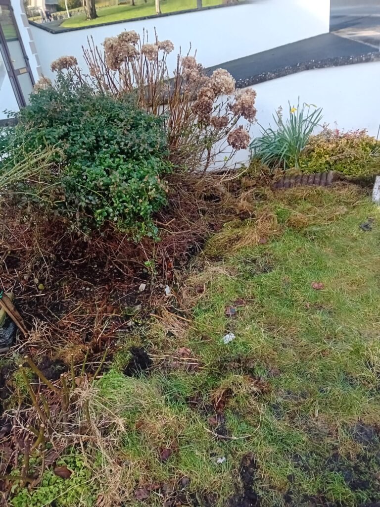 Jet washing for patios, driveways and paths Mayo